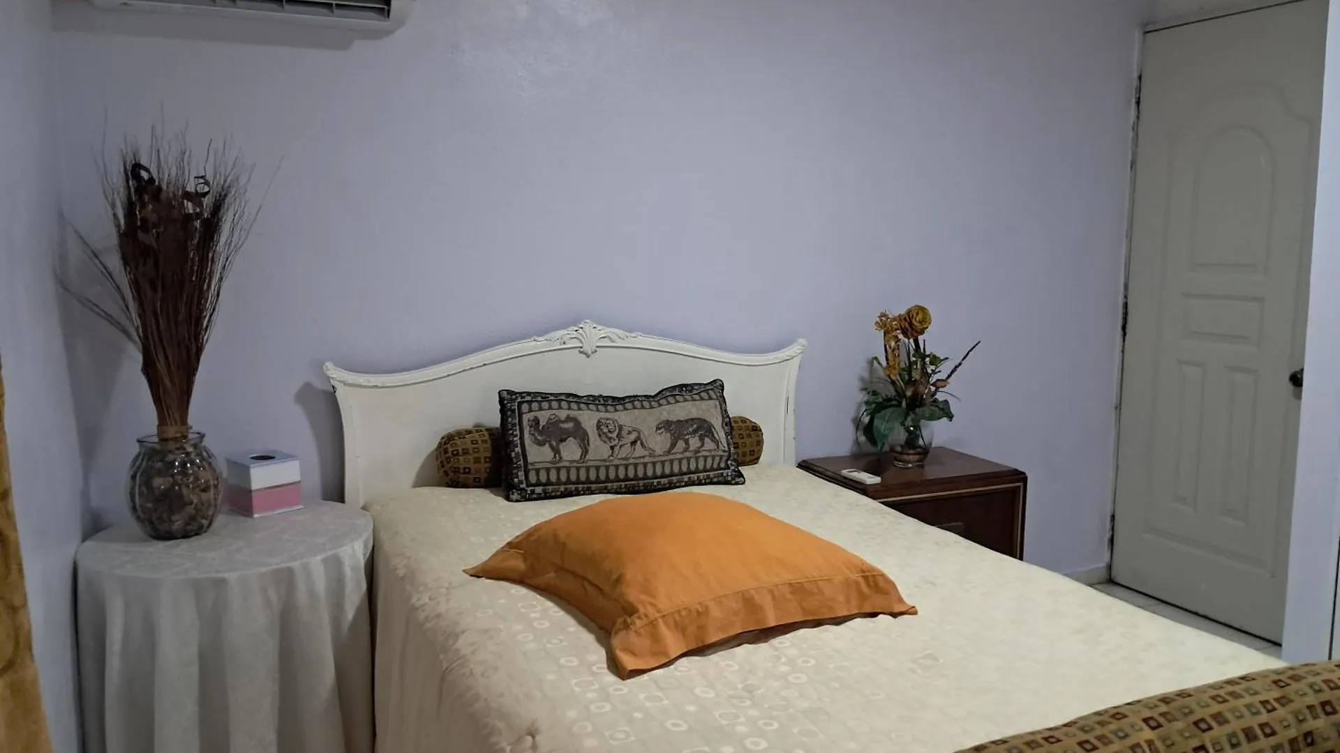 Veronica Castillo Santo Domingo Dominikanische Republik